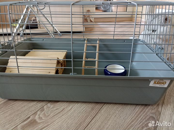 Клетка для грызунов бу