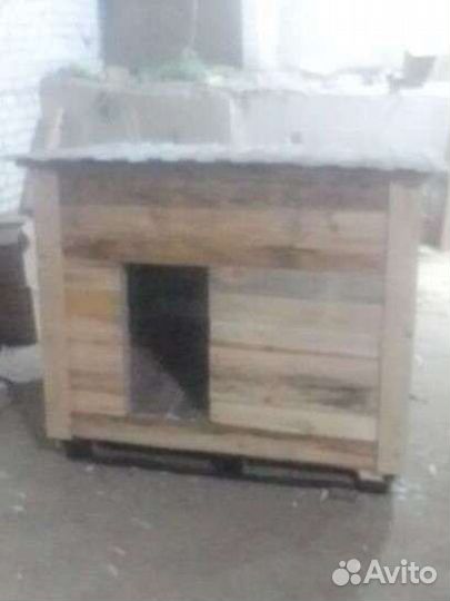 Собачьи будки, дачные туалеты, деревянные вазоны