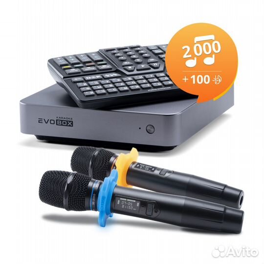 Караоке комплект EvoBox с микрофонами Evolution SE