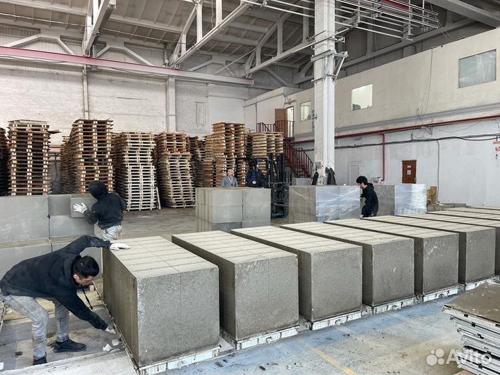 Газоблоки 600-300-150 D500