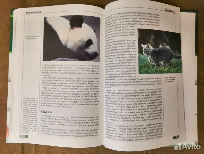 Серия познавательных книг 