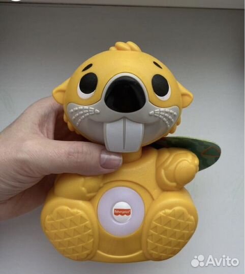 Бобер музыкальный