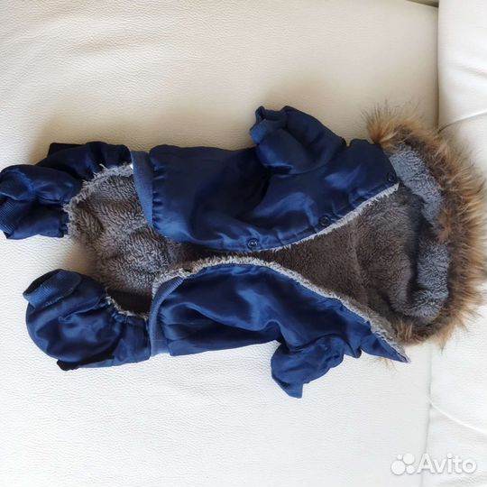 Одежда для животных