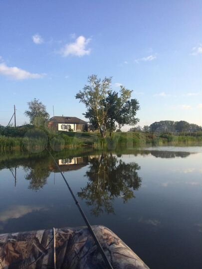 Дом 60 м² на участке 22 сот.