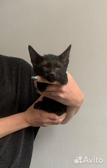 В самые добрые ручки