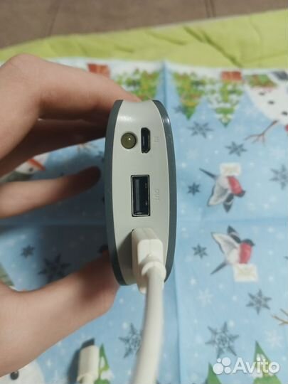 Повербанк canyon