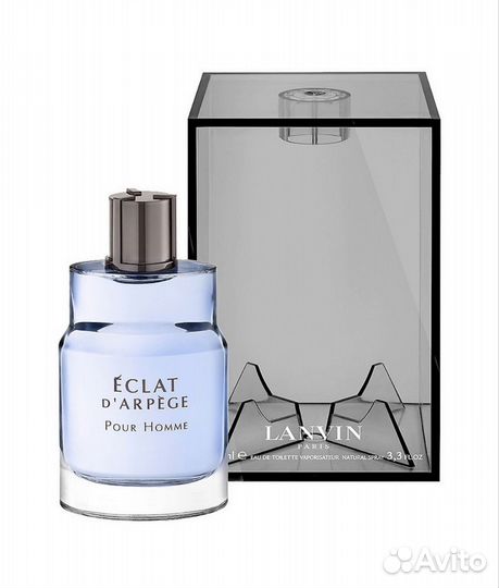 Мужская туалетная вода Eclat for men 100 мл