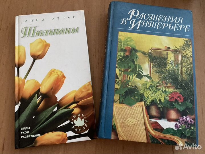 Всё о цветах в вашем саду