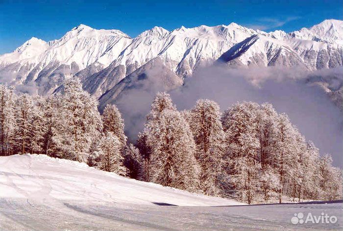 Авиа Экскурсия Олимпийская Деревня