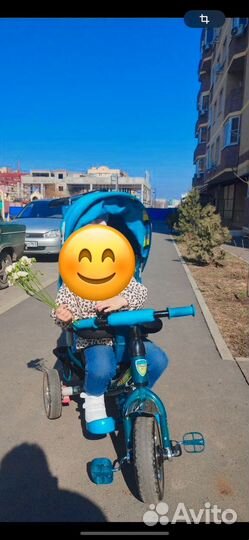 Детский велосипед Little racer Tt trike