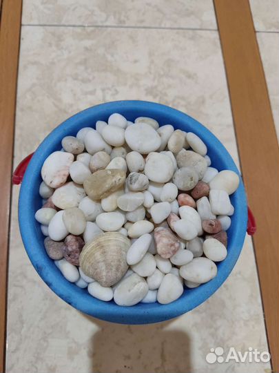 Камушки для аквариума и декора