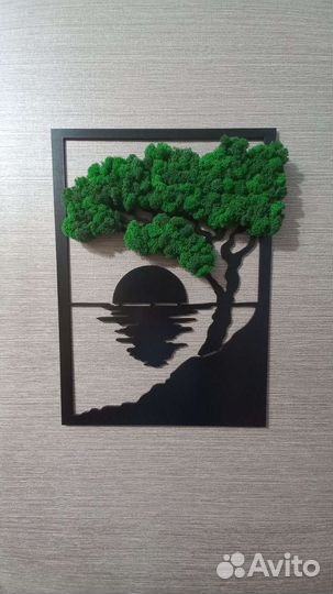 Стабилизированный мох