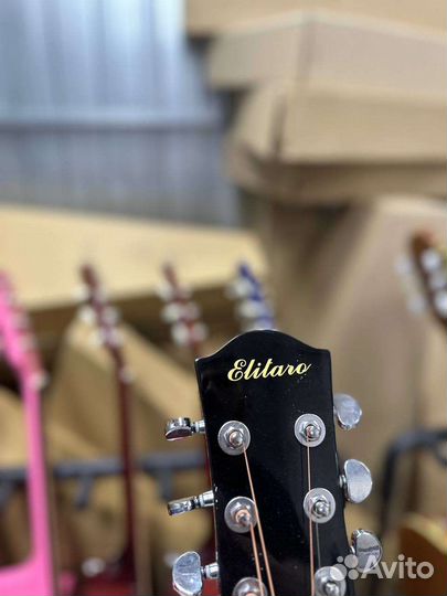 Акустическая гитара Elitaro череп