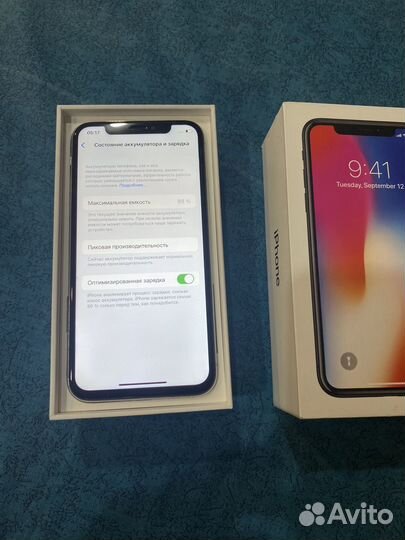 iPhone X, 256 ГБ