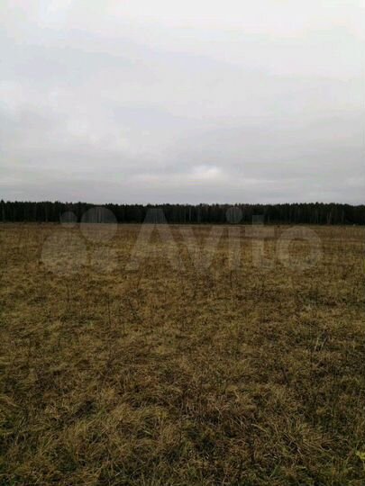 Участок 12 сот. (ИЖС)