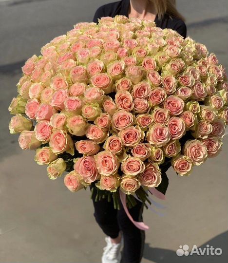 Цветы Эквадор 50-60-70 см С Доставкой 24/7