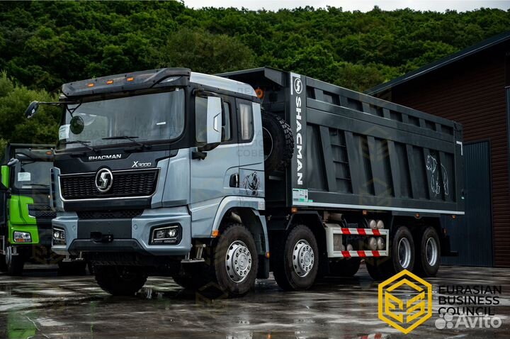 Shacman (Shaanxi) SX33186V366, 2023