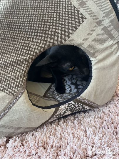 Домик для кота