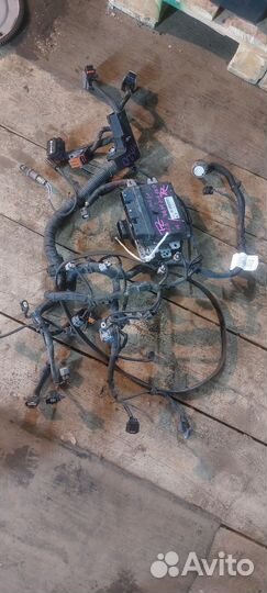 Подкапотная коса с эбу nissan mr20de