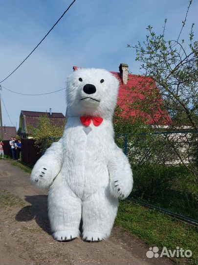 Белый мишка поздравление