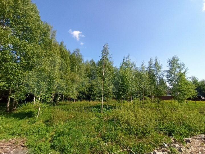 Участок 8,5 сот. (СНТ, ДНП)
