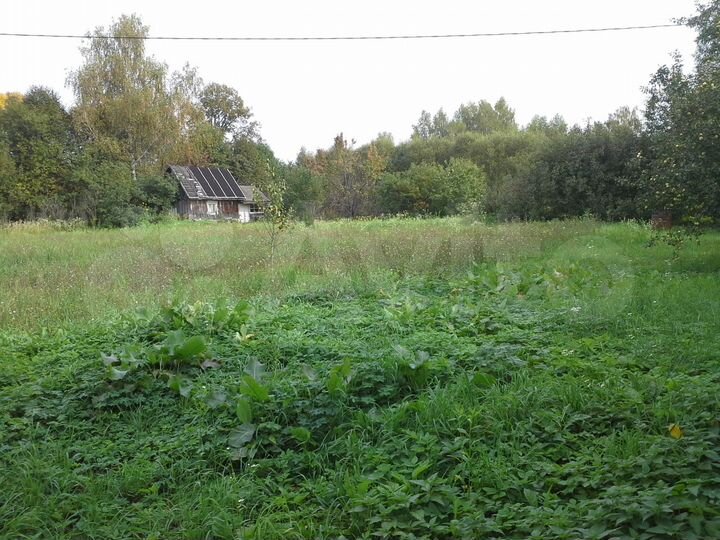 Участок 40 сот. (ИЖС)