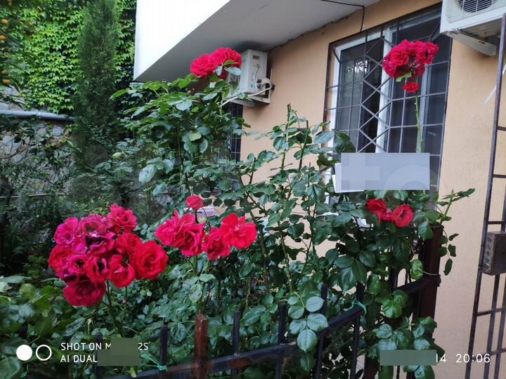 2-к. квартира, 55 м², 1/2 эт.