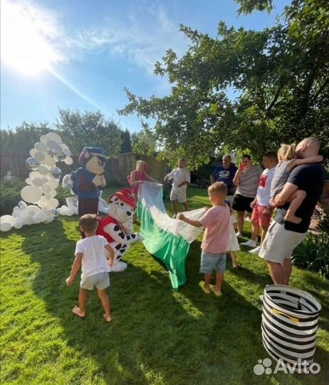 Аниматоры на день рождения Шоу программы