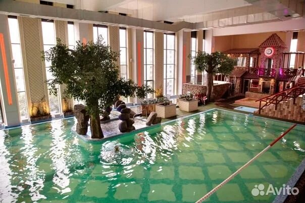 Голден Зебра абонемент Бабушкинская Клён