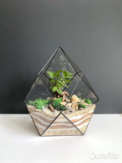 Флорариум с бонсаем