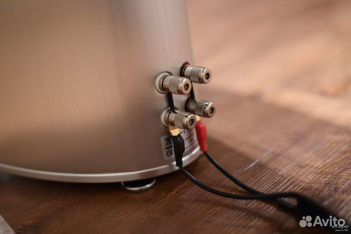 Напольная акустика Piega Coax 511