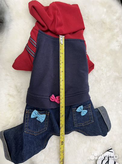 Одежда для собак