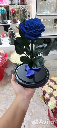Роза в колбе