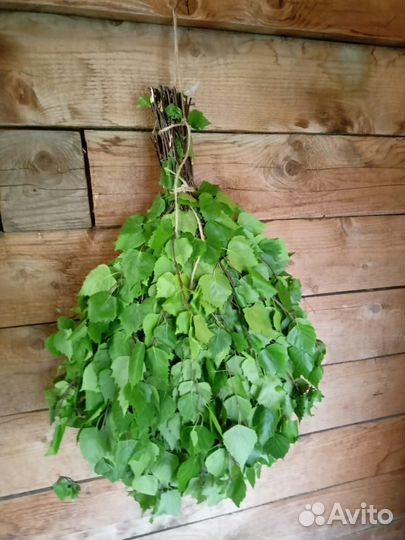 Березовые веники