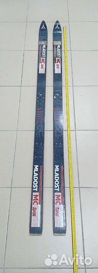 Пластиковые лыжи