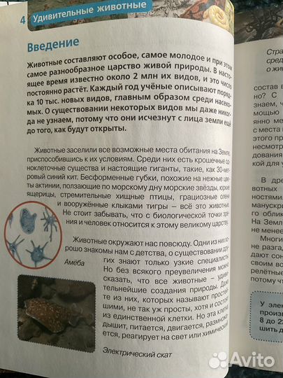 Детская энциклопедия. Удивительные животные