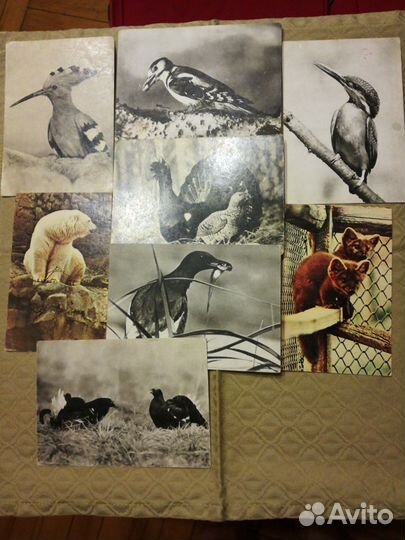 Открытки СССР 60-х г