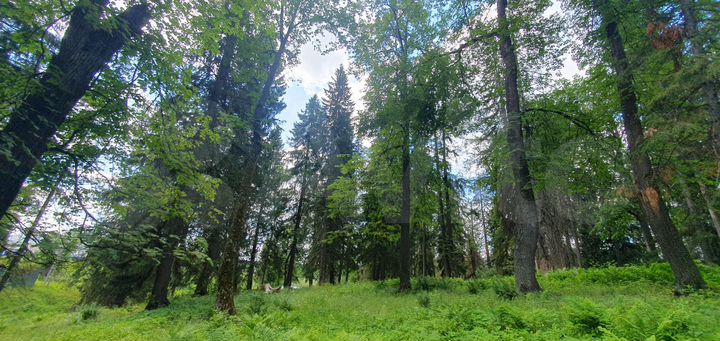 Участок 30 сот. (ИЖС)