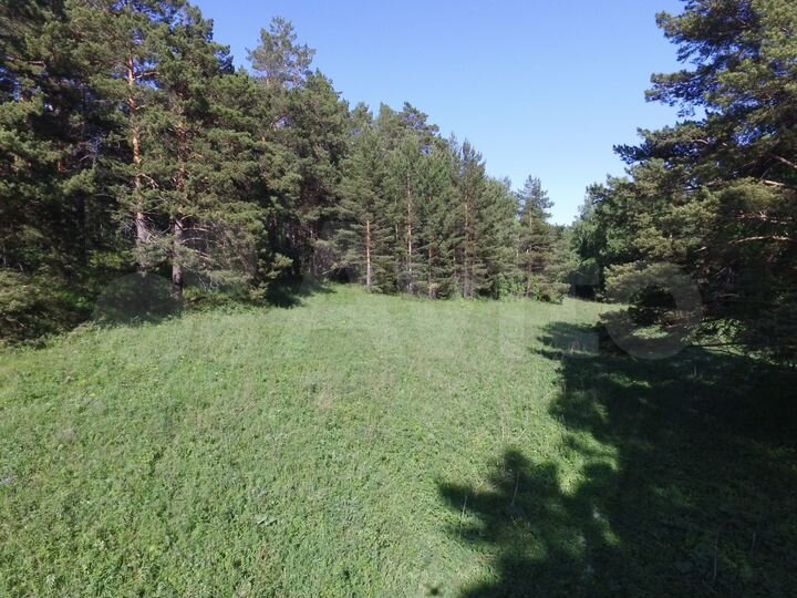 Участок 3,71 га (СНТ, ДНП)