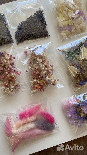Сухоцветы для творчества
