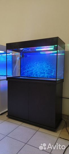 Аквариум 220 свет биофильтр фон подставка
