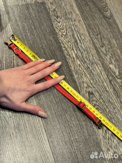 Новый ошейник для собаки - S