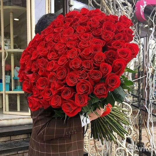 101 роза цветы букеты доставка 25 51 101 роза