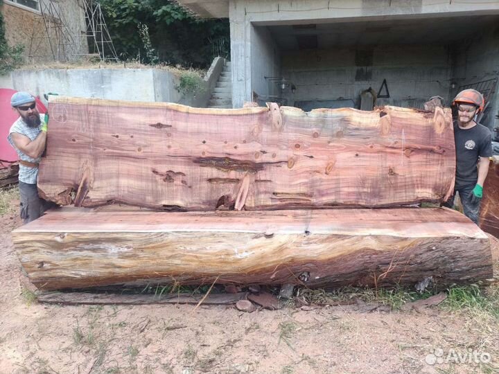 Слэб секвойя