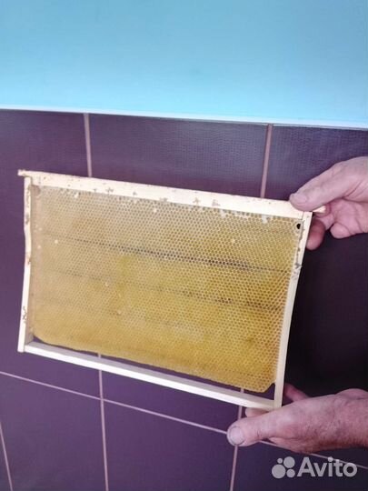 Продам суш дадан