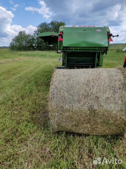 Сено в рулонах