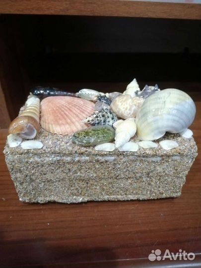 Шкатулка из ракушек