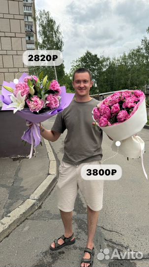 Цветы, роза