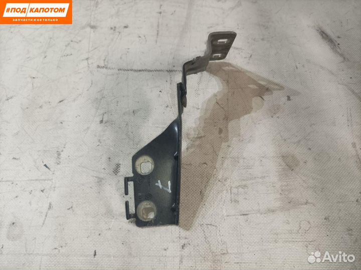 Петля капота правая Renault Megane 2 (2002 - 2006)