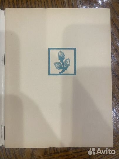 Сергей Островой Мать